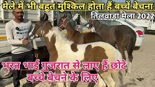 तिलवाड़ा मेले में भरत भाई गुजरात पाटन से लेकर आए हैं छोटे-छोटे बच्चे बेचने के लिए !