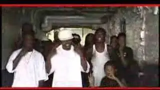 252 BOYZ VIDEO