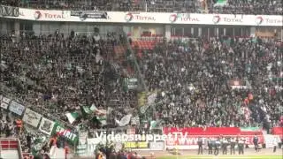 Bayer Leverkusen vs. Rapid Wien - Rapid Stimmung - 08.11.12 Europa League - Rapid in Leverkusen)