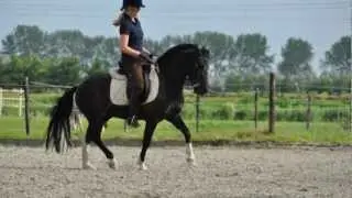 Laura en Djuul - Klaar voor de Z bij de paarden