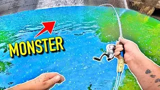 Spillway Fishing for Giant Puddle Monsters!!