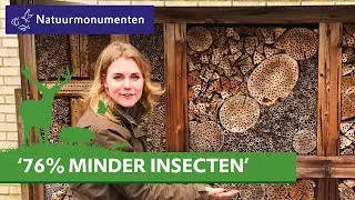 De beste tips om insecten te helpen! | Vlog boswachter Hanne | #86