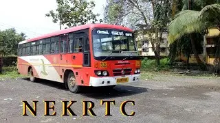 Only Karnataka bus at Chiplun