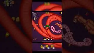 WORM ZONE DOMINATION 4 Back to Back Kills