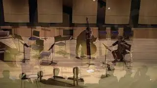 Rossini Duo for Double Bass & Cello