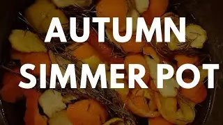 Zero Waste Simmer Pot ✨ Fall Home Fragrance with 4 Ingredients