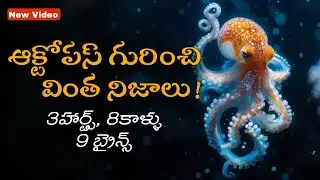 FACTS ABOUT OCTOPUS 🐙 | Telugu facts | Telugu science videos | by @gopichandanam
