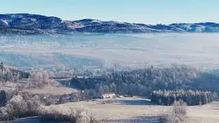 Novicky-Żyjesz 