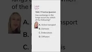 TEAS 7 Practice Question #futureRN #teas7