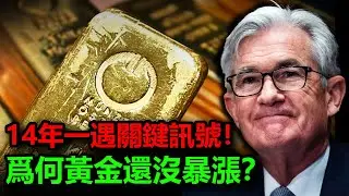 14年一遇關鍵訊號！為何黃金還沒暴漲？#黃金 #白銀 #金價 #銀價