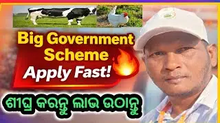Big Government Scheme for 2026 | Apply Fast & Get Benefits.