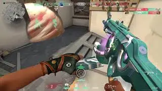 bunny raze