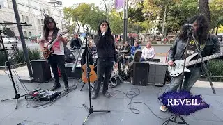 Wicked Game by Chris Issac Live in Mexico City by the Reveil Band