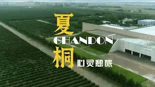 CHANDON in Ningxia，在中国的&ldquo;波尔多&rdquo;，日不落酒庄的传奇在这里绽放。#旅行推荐官 #宁夏 #夏桐酒庄 #chandon #酒庄游