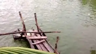 How to catch fish without fishing tools