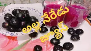 Alla Neredu juice // Jamun fruit juice and health benfits