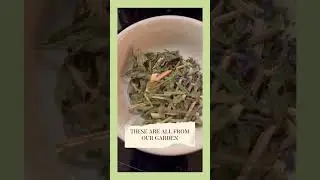 Say Goodbye to Insomnia: Herbal Teas for a Restful Night's Sleep|#herbgarden #gardentips #gardening