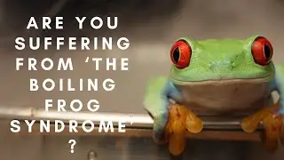 Are you suffering from 'The Boiling Frog Syndrome'?