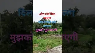 🄼ujhse# hi mil #Jayegi# aur #koi Mil# jaega short video #styk🄺🅰ish&oacute;lmur