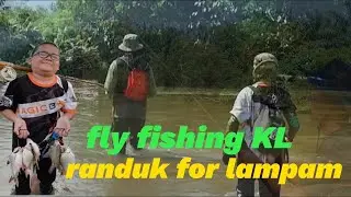 Orang KL sanggup turun Sg Kampar | randuk lampam | flyfishing malaysia #v107