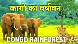 Congo Rainforest | Dangerous Animals & Untold Secrets of the World&rsquo;s Darkest Jungle