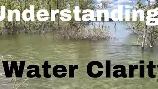 Bass And Water Clarity...Why You Will Never Be A Good Angler Unless You Understand It&rsquo;s Effects