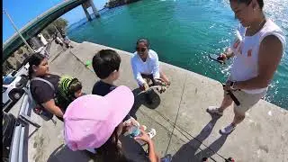I-12: First Day Fishing Haulover #fishingflorida, #fishinglife #needlefish, #angler