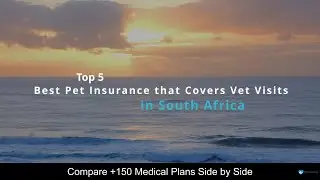 Best Pet Insurance that Covers Vet Visits in South Africa