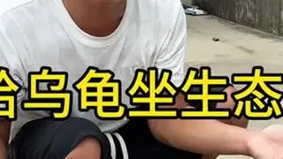 自己动手给乌龟做一个生态缸 #vlog日常 #我的乡村生活 #记录真实生活