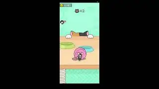 Hide and Seek Cat Escape  LIVE 🎮 | Fun Gameplay & Smart Escapes | Part 02