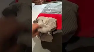 Что такое коливинг отель! Расскажу вам про первый в России в центре Москвы! #обзоротеля #moscow