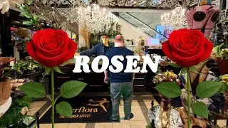 Nils - Rosen