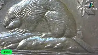 WHAT!!!! A1990 Bare Belly Beaver Nickel