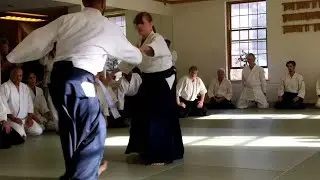 Aikido Vanguards: Interview with Barbara Britton Shihan, 7th Dan Framingham Aikikai (Part 1)