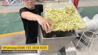 Pineapple Crushing And Juicing Machine Testing