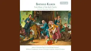Brandenburg Concerto No. 5 in D Major, BWV 1050: I. Allegro