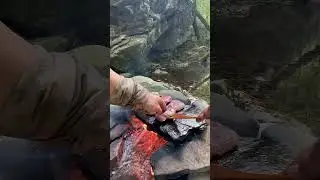 #cooking #food #camping #outdoorfood #streetfood #camping  #outdoorwork