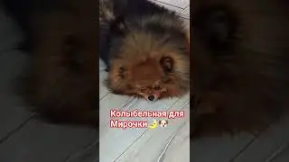собаченька устала #собака #популярное  #колыбельныедлядетей #мем #funny #funnyshorts #animals #love