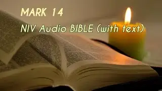 Mark 14 : NIV Audio BIBLE (with text)