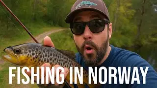 Trout Fishing in Norway, Autumn, Final Part