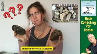 5 ESSENTIAL Tips for collecting GREAT Bonsai Rocks