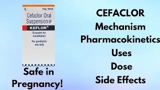 Cefaclor Antibiotic| Mechanism| Pharmacokinetics| Uses| Side Effects| Dose| Drug Interaction| ep20