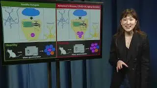 3MT (2023) 2nd prize – Elizabeth Woo
