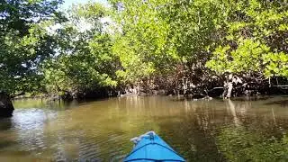 Kayaking Sanibel Island
