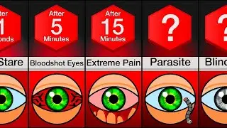Timeline: What If You Stopped Blinking??