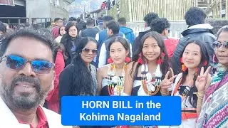 Horn Bill 