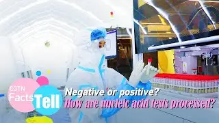 Vlog：Negative or positive? How are nucleic acid tests processed?