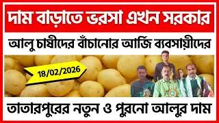 18/02/2026 : মেদিনীপুরের তাতারপুরের আজকের আলুর দাম | Potato Price in Tatarpur - India Potato News