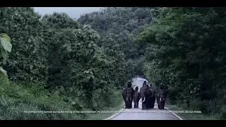 Bajaj makes fun of Royal Enfield in new Dominar 400 ad