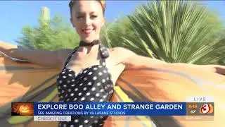 VIDEO: Spooky time at the Desert Botanical Garden